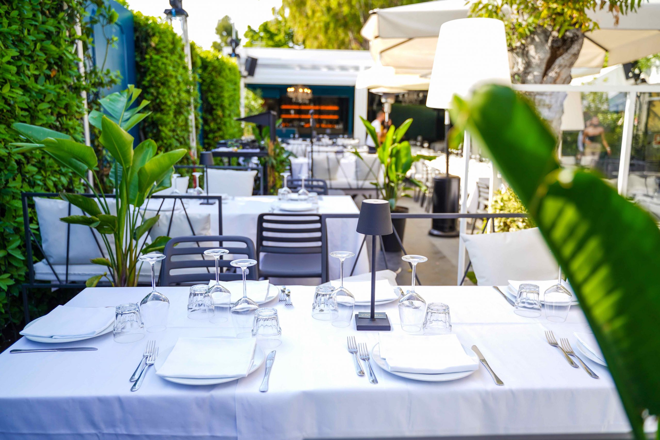 Homepage Solano Restaurant